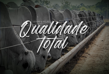 LEILÃO VIRTUAL QUALIDADE TOTAL